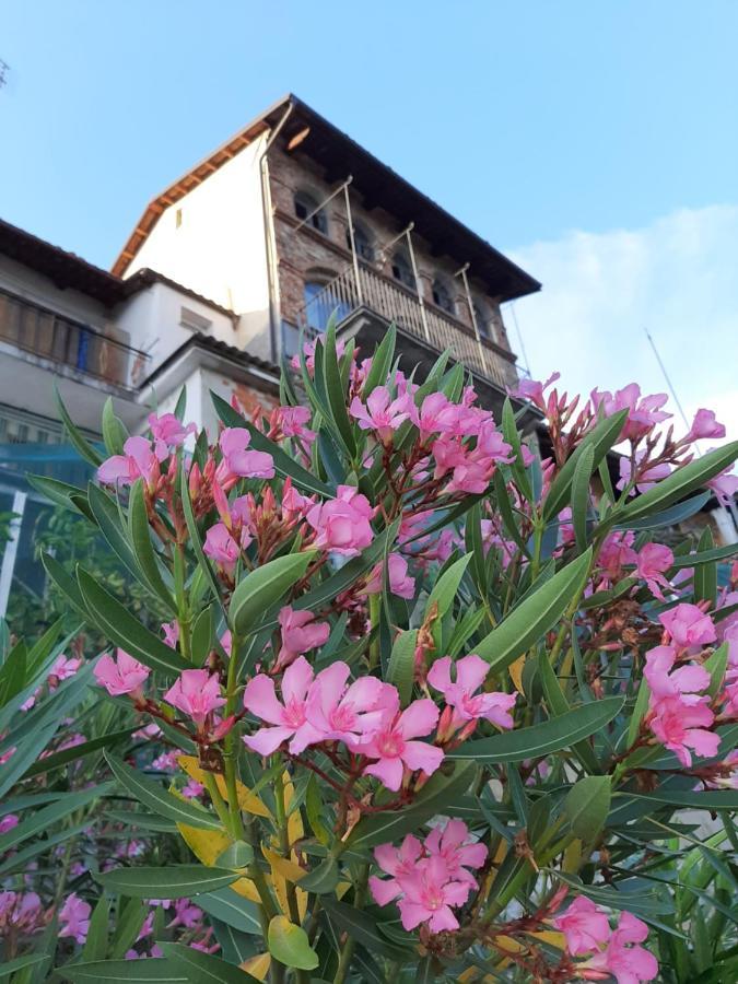 Le Case Di Angelina - Langhe Loft & Suites Farigliano Zewnętrze zdjęcie